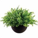 Ver imagem 4 de Kit 5 galhos de folhagem eucalipto artificial para enfeite Cor:Verde