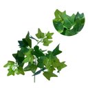Ver imagem 1 de Kit 15 Maços de Folhagem Artificial para Muro Inglês Hera Verde Cor:verde