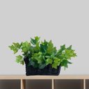 Ver imagem 6 de Kit 15 Maços de Folhagem Artificial para Muro Inglês Hera Verde Cor:verde