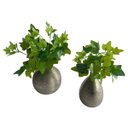 Ver imagem 2 de Kit 12 Maços de Folhagem Artificial para Muro Inglês Hera Verde Cor:verde