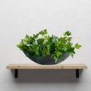 Ver imagem 4 de Kit 5 Plantas Ornamentais Artificiais Buque de Hera Verde Cor:verde