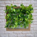 Ver imagem 6 de Kit 5 Plantas Ornamentais Artificiais Buque de Hera Verde Cor:verde