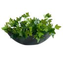 Ver imagem 3 de Kit 5 Plantas Ornamentais Artificiais Buque de Hera Verde Cor:verde