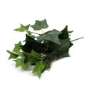 Ver imagem 2 de Kit 5 plantas ornamentais artificiais buque de hera verde Cor:Verde