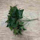 Ver imagem 5 de Kit 6 buques folhagens complemento decorativo hera artificial Cor:Verde