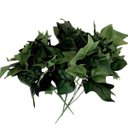 Ver imagem 2 de Kit 6 buques folhagens complemento decorativo hera artificial Cor:Verde