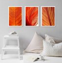 Ver imagem 1 de Kit 3 Quadros Decorativos Folhas Alaranjadas 24x18cm - com Vidro:madeira Preta