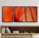 Ver imagem 2 de Kit 3 Quadros Decorativos Folhas Alaranjadas 24x18cm - com Vidro:madeira Preta