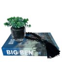 Ver imagem 1 de Decoração sala livro fake + vaso vidro fumê + colar decor