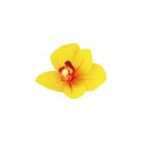 Ver imagem 2 de Porta Guardanapo em Silicone Orquídea Cimbidio Amarela Mameg
