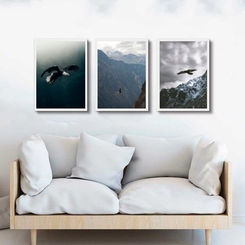 Kit 3 Quadros Fotografias Águias Voando 33x24cm - com Vidro:madeira Branca