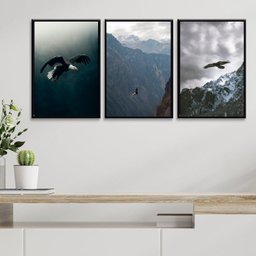 Kit 3 Quadros Fotografias Águias Voando 33x24cm - com Vidro:madeira Branca - 2
