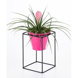 Suporte de vaso quadrado M - Soluza - Preto - 1