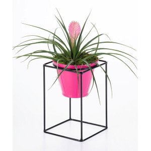 Suporte de vaso quadrado M - Soluza - Preto