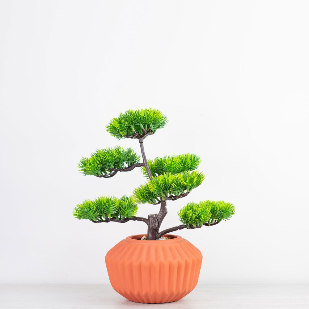 Arranjo Com Árvore De Bonsai Artificial No Vaso Terracota De Cerâmica Beng Flores