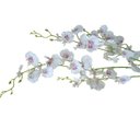 Ver imagem 2 de Kit 4 Galhos de Orquídeas Chuva de Ouro Artificial para Decoração Cor:Branco