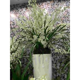 Kit 4 Galhos de Orquídeas Chuva de Ouro Artificial para Decoração Cor:Branco - 4
