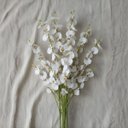Ver imagem 6 de Kit 6 Galhos de Orquídeas Chuva de Ouro Artificial para Decoração Cor:branco