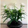 Kit com 5 bromelias artificial para enfeites 55 cm realista Cor:Branco - 5