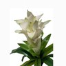 Kit Caixa com 3 flores de bromelia artificial toque real Cor:Branco - 1
