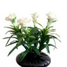 Kit Caixa com 3 flores de bromelia artificial toque real Cor:Branco - 5