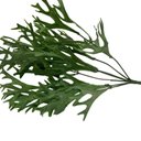 Ver imagem 4 de Kit 24 Folhagens Chifre Veado Artificiais Buques Planta Artificial Cor:verde