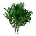 Ver imagem 1 de Kit 20 Folhagens Chifre Veado Artificiais Buques Planta Artificial Cor:verde