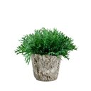 Ver imagem 6 de Kit 18 Buques Planta Artificial de Chifre de Veado Jardim Artificial Cor:verde
