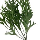 Ver imagem 3 de Kit 18 Buques Planta Artificial de Chifre de Veado Jardim Artificial Cor:verde