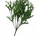 Ver imagem 1 de Kit 15 Buques Folhagens Chifre de Veado Artificial para Decoração Cor:verde