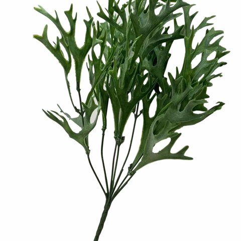 Kit 15 Buques Folhagens Chifre de Veado Artificial para Decoração Cor:verde