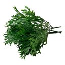Ver imagem 4 de Kit 12 Buques Chifres de Veado Artificial Painel Verde Decorativo Cor:verde