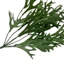 Ver imagem 3 de Kit 12 Buques Chifres de Veado Artificial Painel Verde Decorativo Cor:verde