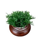 Ver imagem 6 de Kit 12 Buques Chifres de Veado Artificial Painel Verde Decorativo Cor:verde