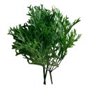 Ver imagem 1 de Kit 12 Buques Chifres de Veado Artificial Painel Verde Decorativo Cor:verde