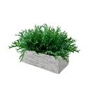 Ver imagem 7 de Kit 12 Buques Chifres de Veado Artificial Painel Verde Decorativo Cor:verde