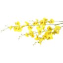 Ver imagem 3 de Kit 18 Galhos de Orquídeas Chuva de Ouro Artificial para Decoração Cor:Amarelo