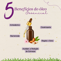 Essência Aromática Sândalo Vila Zen 10 Ml - 2