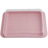 Porta Frios Com Tampa Queijeira Pote Para Queijo Presunto Cozinha Rosa - 5