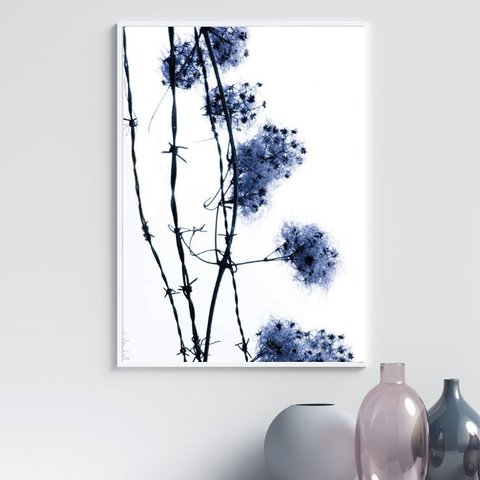 Quadro Fotografia Flores do Campo Azul 33x24cm - com Vidro:moldura Branca