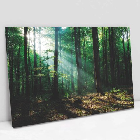 Quadro Decorativo em Canvas Floresta Verde TaColado Moldura Madeira 90 x 60cm