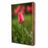 Quadro Floral Tulipa Decorativo 40X60Cm Slim Amadeirada H012 - 1