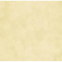 Ver imagem 1 de Papel de Parede Bobinex 9027 – Textura Linho Bege Areia