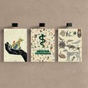 Ver imagem 1 de Kit 3 Quadro Decorativo Medicina Veterinária Consultório 28x20cm