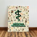 Ver imagem 6 de Kit 3 Quadro Decorativo Medicina Veterinária Consultório 28x20cm