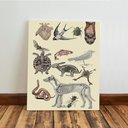 Ver imagem 7 de Kit 3 Quadro Decorativo Medicina Veterinária Consultório 28x20cm