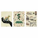 Ver imagem 3 de Kit 3 Quadro Decorativo Medicina Veterinária Consultório 28x20cm