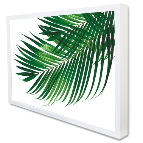 Quadro Decorativo Caixa Alta com Vidro Floral Folha Palmada Verde TaColado Moldura Branca 90 x 60cm