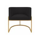 Ver imagem 2 de Poltrona Decorativa Luna Estofada Base Metálica Suede: Suede Preto