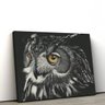 Quadro Decorativo em Tecido Canvas 60x90cm Coruja pb - 1